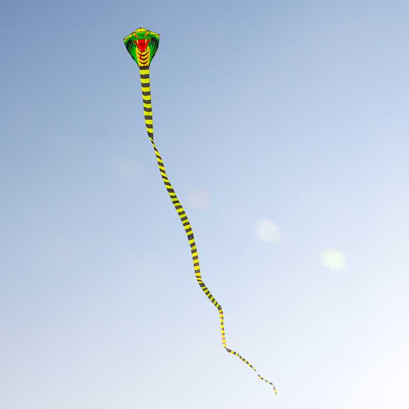 Paradise Bird 8m/15m Snake Kit - Outdoor Sport Outlet avis et prix