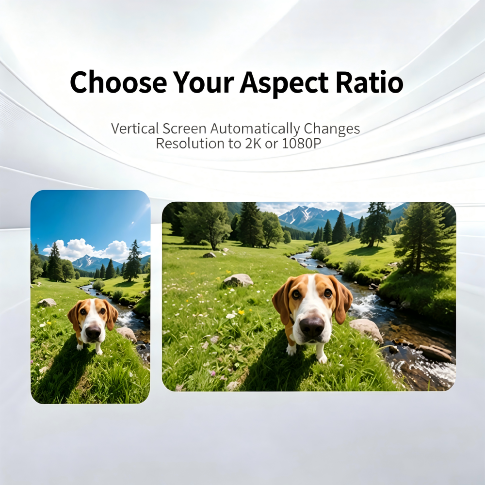 4K Action Camera for Pets vide - Indoor Sport And Outdoor Sports avis et prix